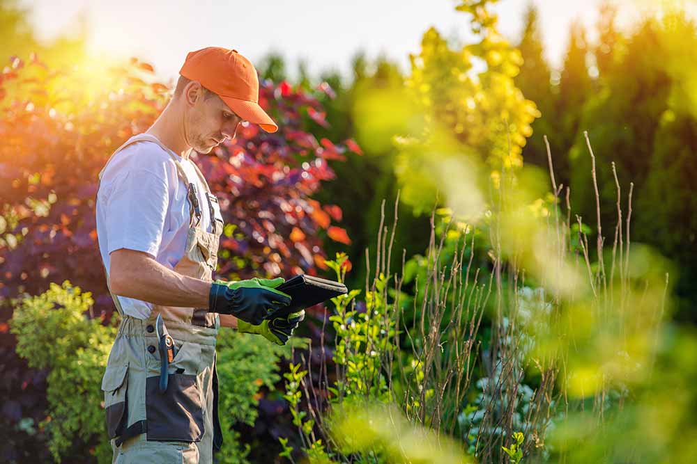 Landscaping Estimating Services